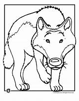 Wolf Coloring Cartoon Pages Cliparts Howling Clip Clipart Wolves Kids Library Head Wolfs Cried Boy Who Index Link Insertion Codes sketch template