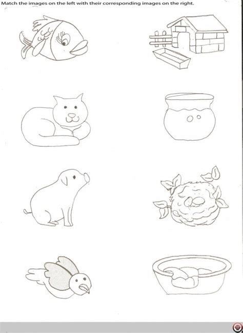 coloring pages  animals   homes