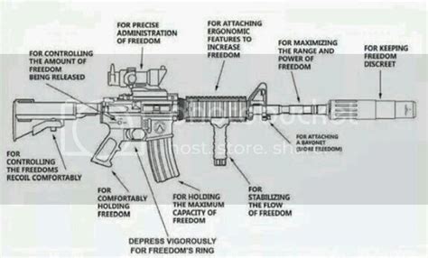 politicians accurate description  ar  features cz firearm