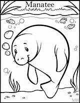 Manatee Coloring Pages Printable Coloringpage Drawing Deviantart Drawings Line Larger Printablecolouringpages Credit Getdrawings sketch template
