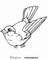 Coloring Robin Pages Bird Red Spring Birds Getdrawings Drawing Printable Getcolorings sketch template