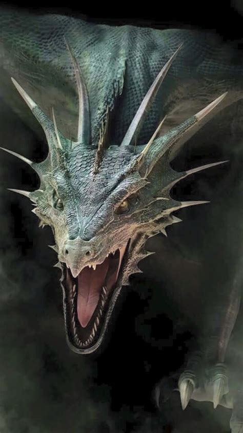realistic dragon dragon art dragon artwork