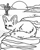 Desert Coloring Pages Fox Kids sketch template