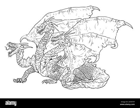 headed dragon coloring page outline illustration dragon drawing
