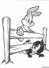 Coloring Pages Tunes Baby Looney Duck Daffy Bunny Bugs Climb sketch template