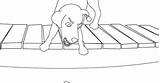 Reflection Dog Aesop His Coloring Fables sketch template