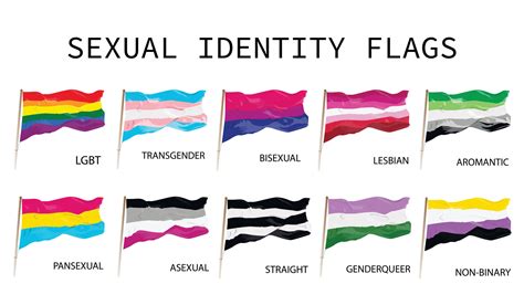 Sexual Identity Pride Flags Set 4753149 Vector Art At Vecteezy