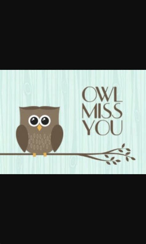 images  owl clip art  pinterest