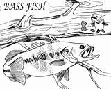 Bass Coloring Largemouth Pages Jumping Getcolorings Fish sketch template