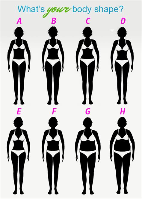 female body types ebylife personal training