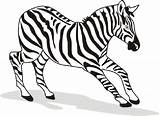 Zebra Coloring Pages Printable Kids Color Cartoon Realistic Print Drawing Kid Getcolorings Clipartmag sketch template