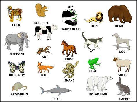 animals angliyskiy yazyk onlayn angliyskiy  kartinkakh