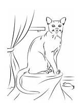 Ausmalbilder Katzen Kleinen Feldern sketch template