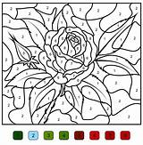 Number Color Coloring Pages Numbers Printable Flowers Beautiful sketch template