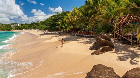 61 Best Things To Do In Grenada In 2023 Goats On The Road