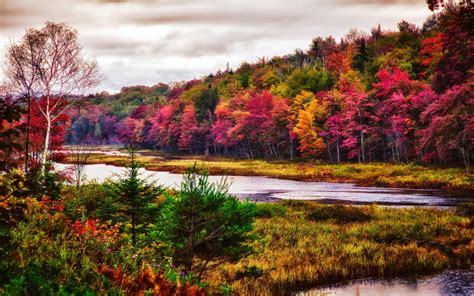 nature landscape trees river fall forest colorful  york state