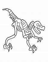 Dinosaur Skeleton Coloring Pages Popular sketch template