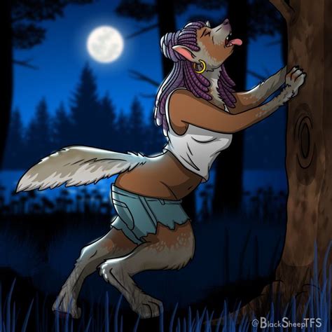 werewolf tf by blacksheeptfs on deviantart werewolf tf