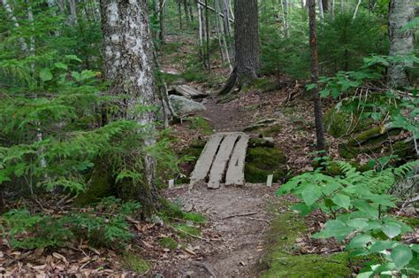 woodland trail stockaugust    sabrinafranek  deviantart