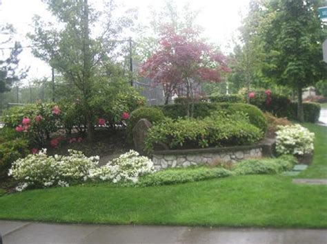 commercial landscaping bellevue wa commercial landscape service