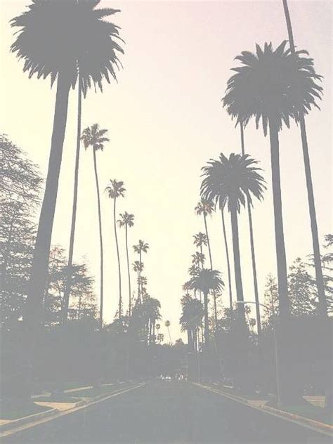 palms summer image 4683433 by winterkiss on
