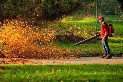 hire great lawn care landscaping employees