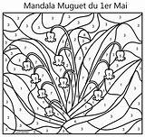 Muguet 1er Coloriages Lily Zahlen Ligne Enfants Réelle sketch template