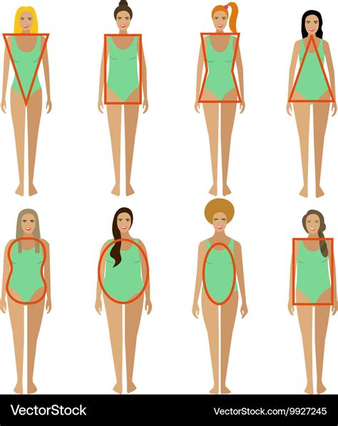 Different Female Body Types Woman Figure Shapes Vector Image Hot Sex
