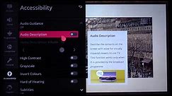 LG NanoCell TV - How to Set Up Audio Descriptions? LG 4K LED Smart TV (49NANO867NA)