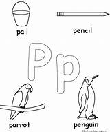 Pp Letters Big Enchantedlearning Kindergarten sketch template