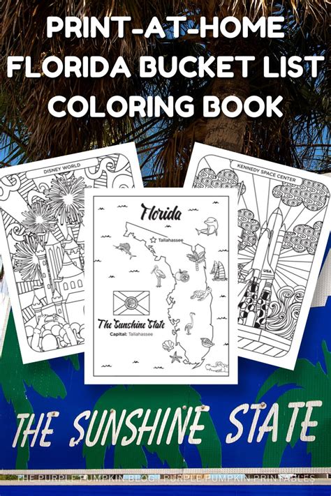 printable florida bucket list coloring book  pages  print  home