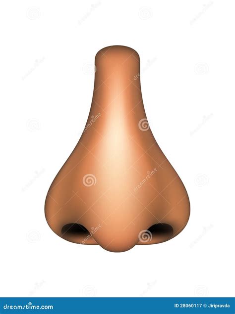 human nose royalty  stock photography image