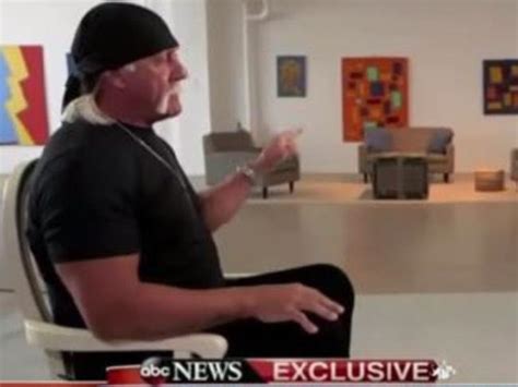 Hulk Hogan Tells Us Tv He’s Not A Racist Apologises For Slurs Caught