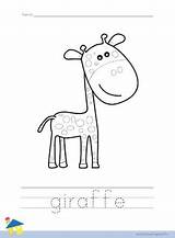 Giraffe Flashcard Thelearningsite sketch template