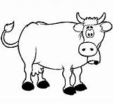 Coloring Dairy Cow Coloringcrew sketch template