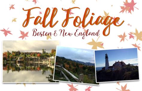 Boston New England Fall Foliage October 2 9 Sold Out