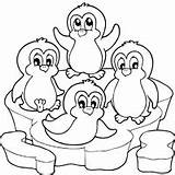 Coloring Penguins Pages Penguin Animals Surfnetkids Cute Ice Christmas Drawing Printable Colouring Sheets Antarctica Adult Winter Print Choose Board sketch template