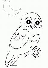 Coloring Owl Pages Naaman Chouette Owls Coloriage Worksheets Preschool Dessin Printable Bible Popular Cute Kids sketch template