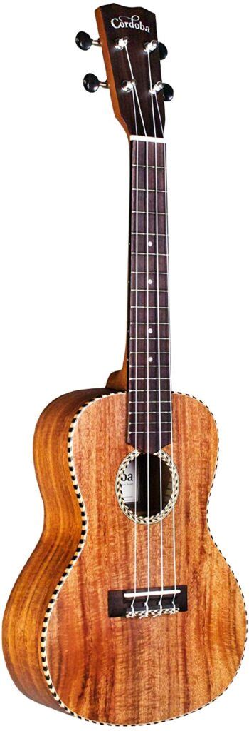 concert ukulele  intermediate players eric sardinas