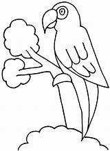 Colorir Papagaio Loros Parrot Burung Druku Mewarnai Papuga Papegaai Kolorowanka Kura Drawing Beo Kolorowanki Eenvoudige Myna Hummingbird Pixabay Printable Papegaaien sketch template