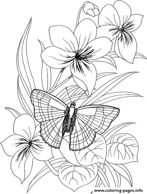 butterfly flower coloring page printable