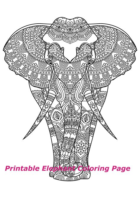 printable elephant mandala coloring page adult    etsy
