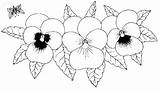 Coloring Pages Pansies Cartridges Discount Ink Shipping Days Off Two Color sketch template