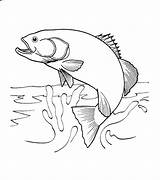 Coloring Fish Pages Salmon Water Jumping Choose Board Cute Do Kids Looking sketch template