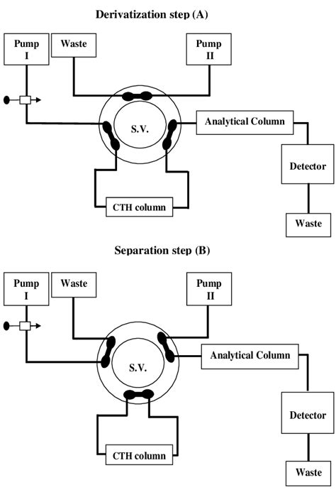 schematic diagram    pre column hplc   analysis  mtx  scientific