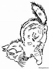 Poezen Katten Dieren Katzen Katze Colorare Malvorlagen Kolorowanki Mewarnai Ausmalbilder Kucing Kittens Koty Kids Animasi Gify Poes Volantes Bergerak Kolorowanka sketch template