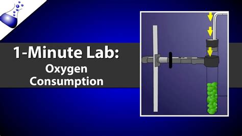 oxygen consumption youtube