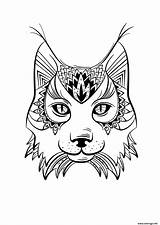 Lynx Adulte Gratuit Luchs Sauvage Coloring Coloriages Nouveau Sauvages Imprimé Clipartmag Mandalas Dessins Inspirant élégant Fois Abrir Creapassions sketch template
