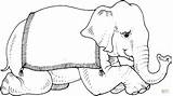 Elefante Circo Colorear sketch template