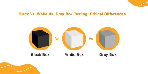 black  white  gray box testing critical differences